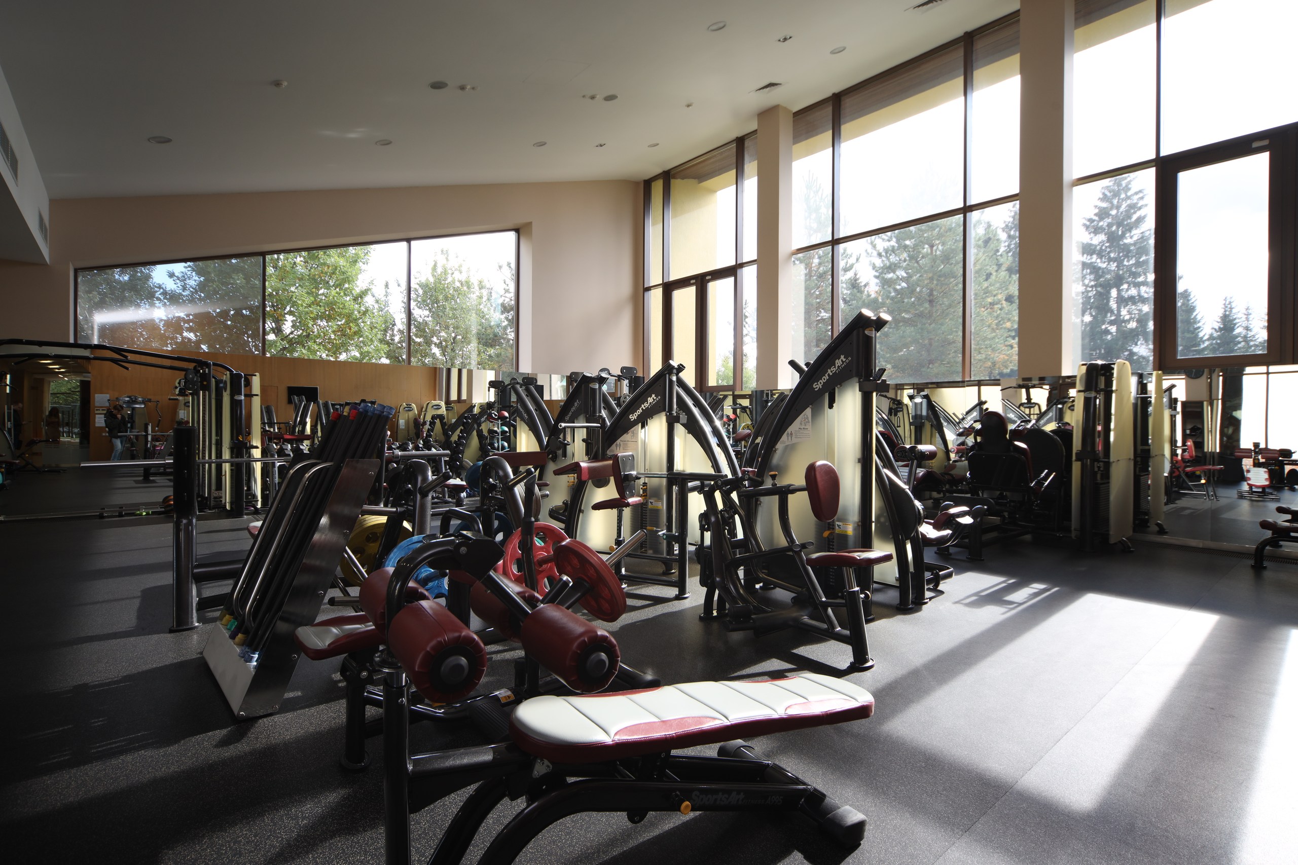 Недвижимость